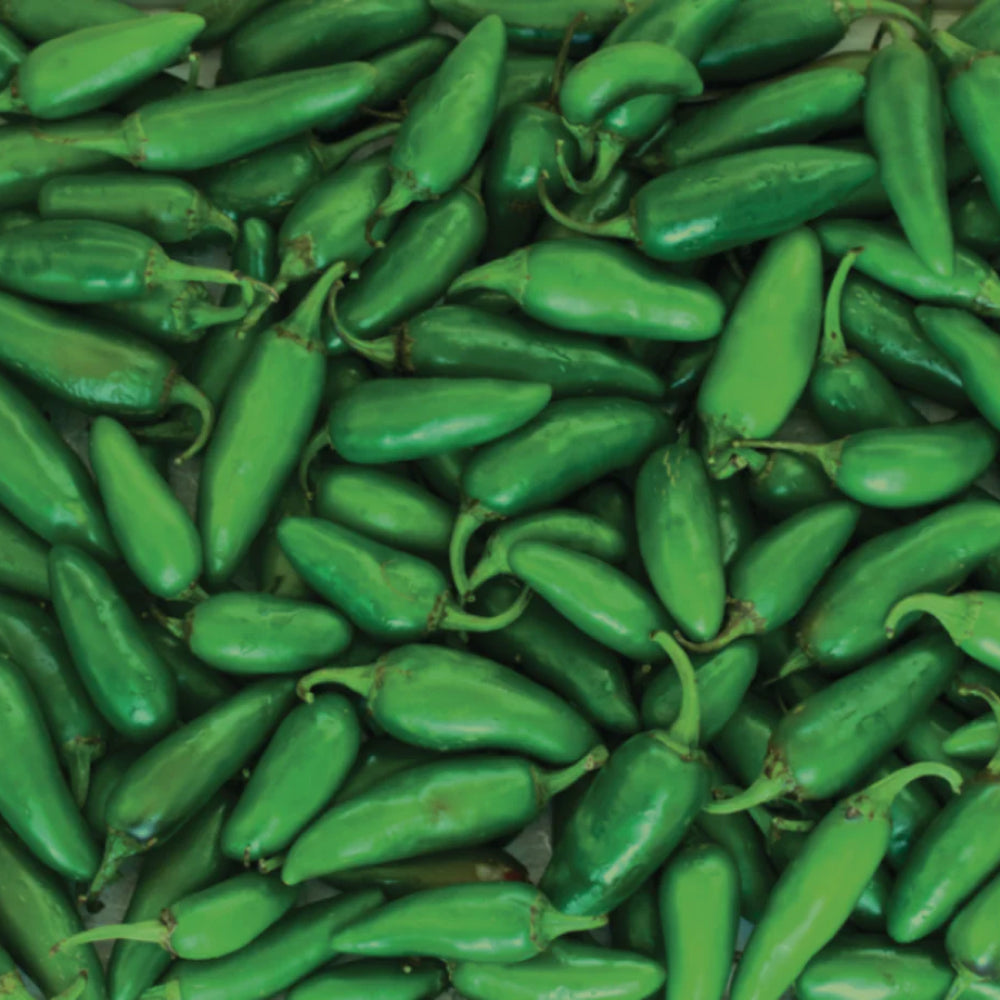 Tabasco Green Pepper Sauce 60ml (Box of 12)