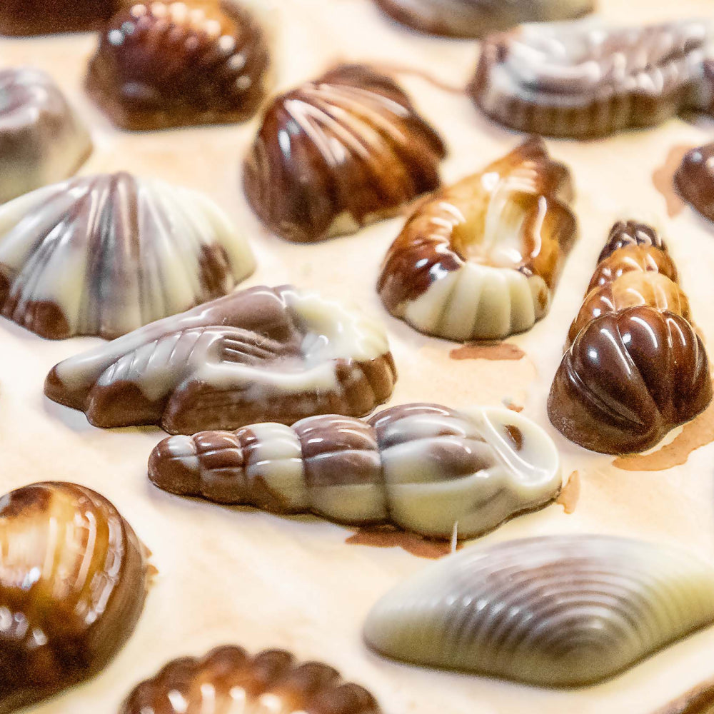 Guylian Chocolate Seashells 65g (Box of 6)