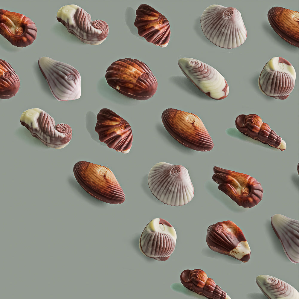 Guylian Chocolate Seashells 250g (Box of 6)